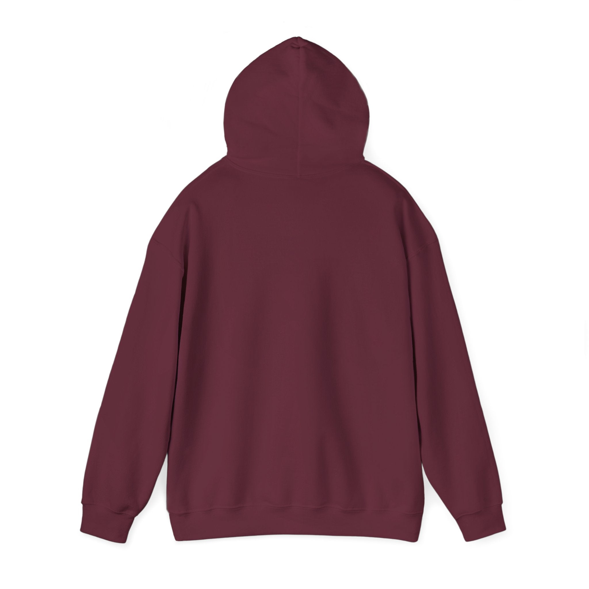 Under His Wings — Brave Hearts Country Gospel Hoodie