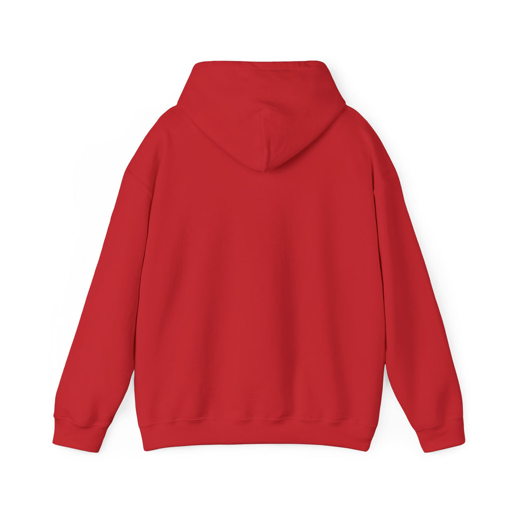 Under His Wings — Brave Hearts Country Gospel Hoodie