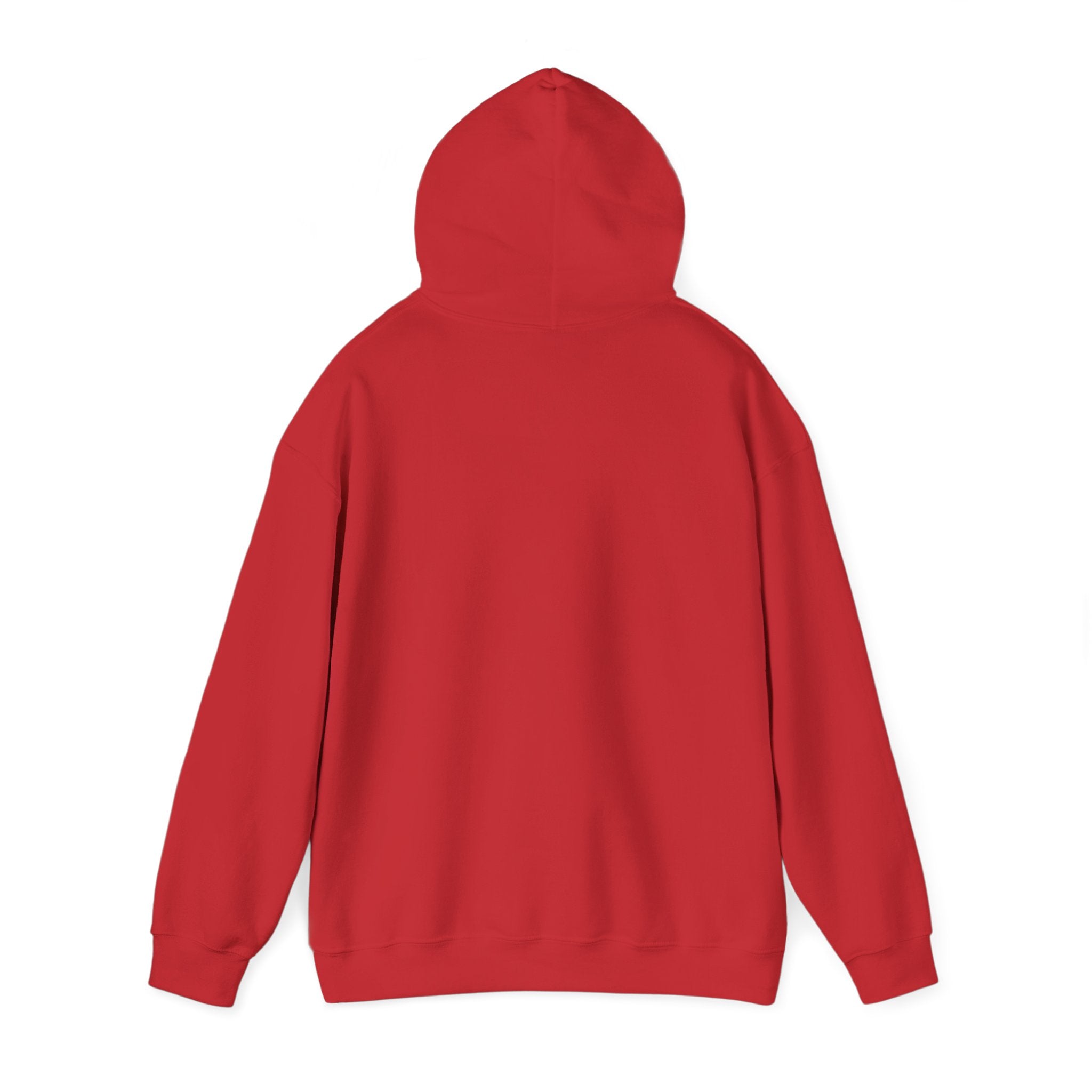 Under His Wings — Brave Hearts Country Gospel Hoodie