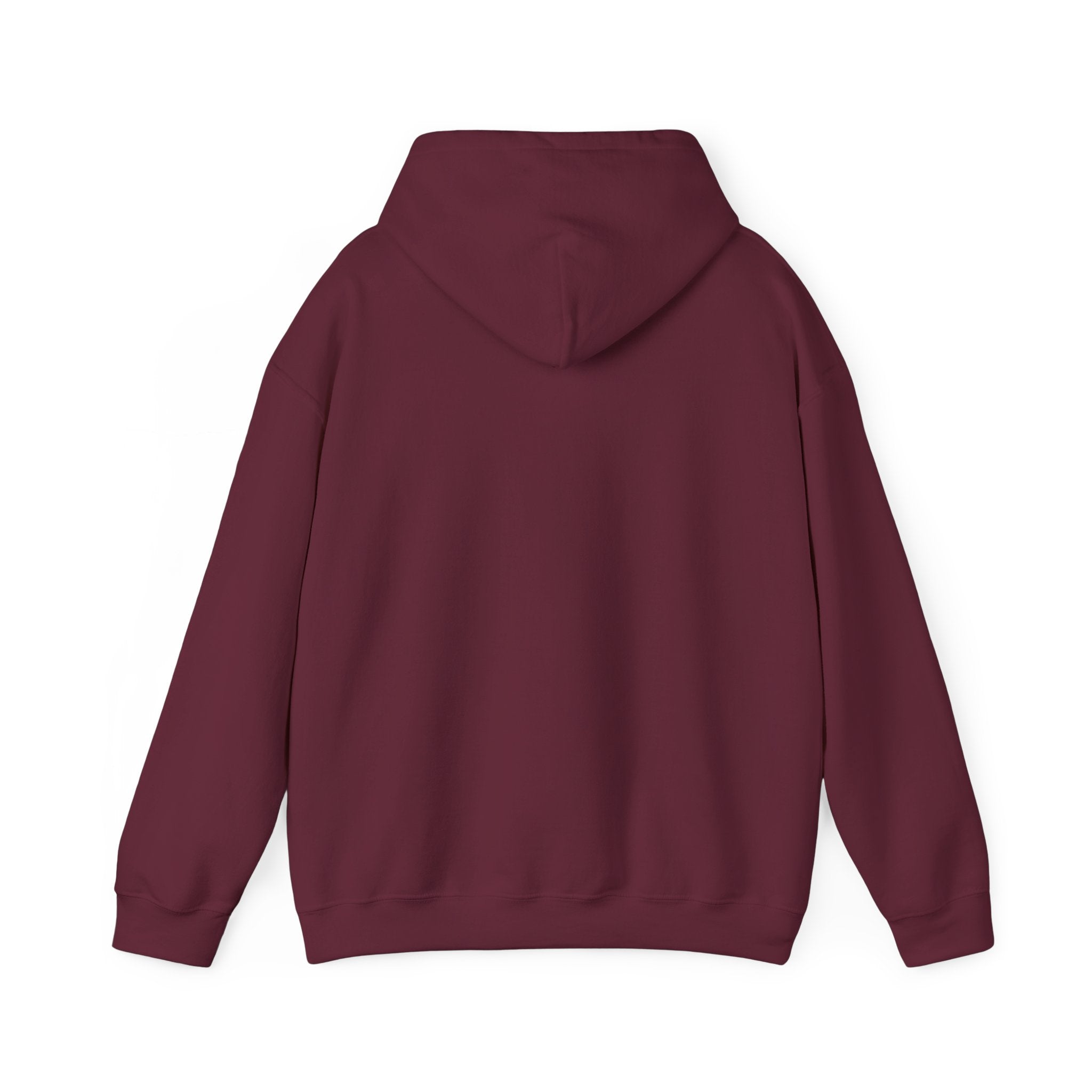 Under His Wings — Brave Hearts Country Gospel Hoodie