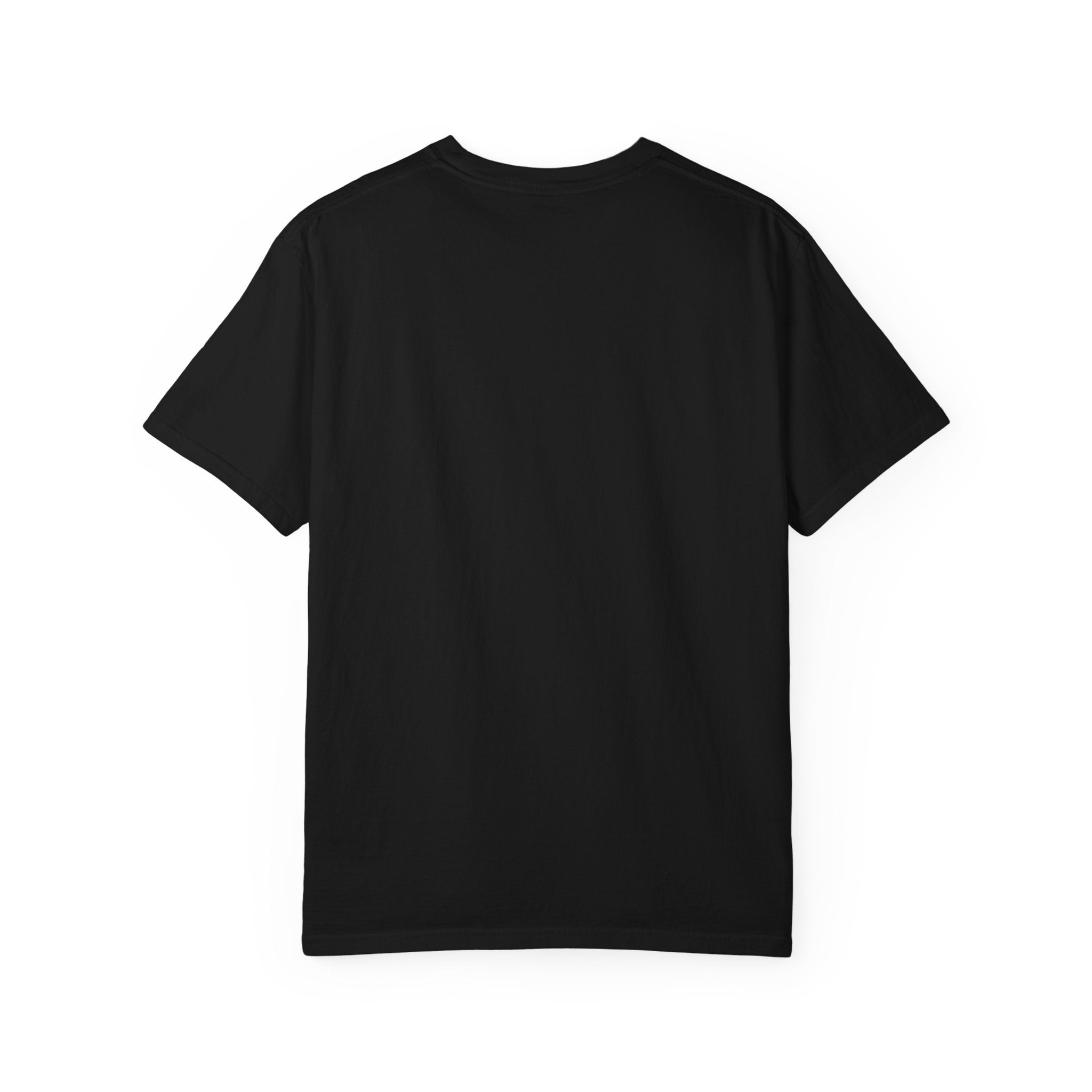 He Was In The World — Brave Hearts Country Gospel T-Shirt
