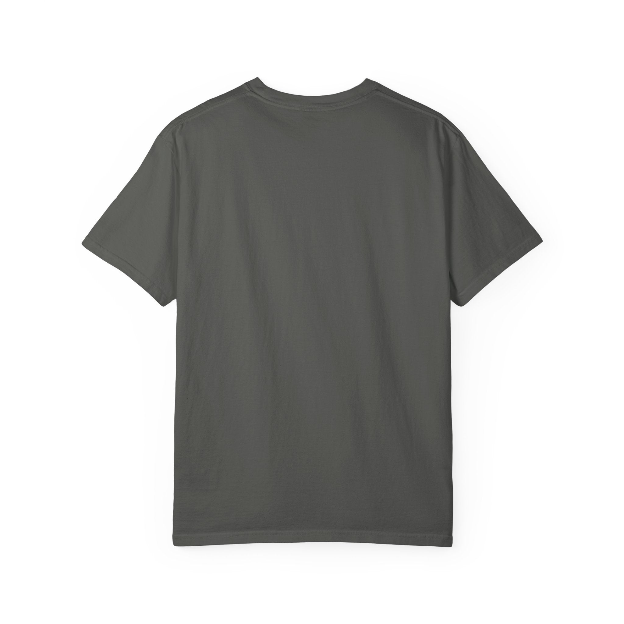 He Was In The World — Brave Hearts Country Gospel T-Shirt